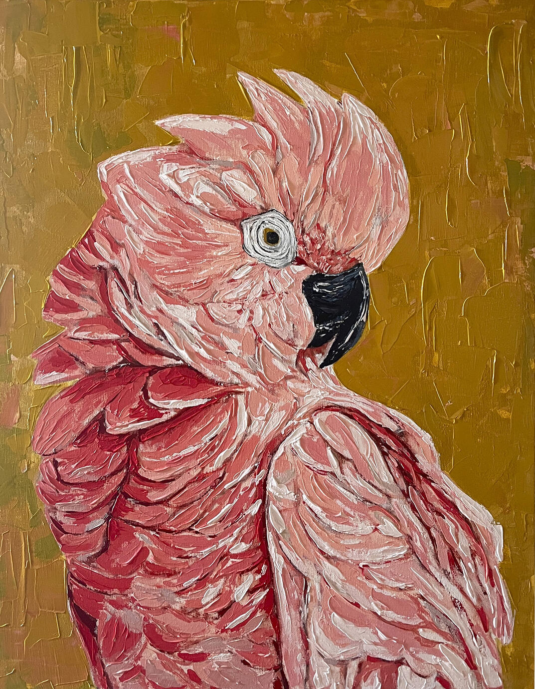 Plumas de terciopelo, 2026